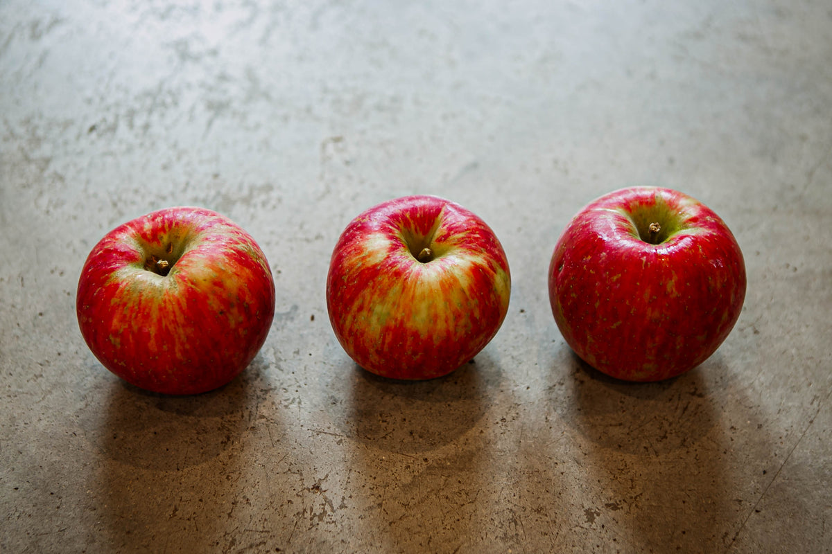Three honeycrisp apples setting in a row on a concrete surface. Picked at Nystrom Orchard in Worthington Minnesota.