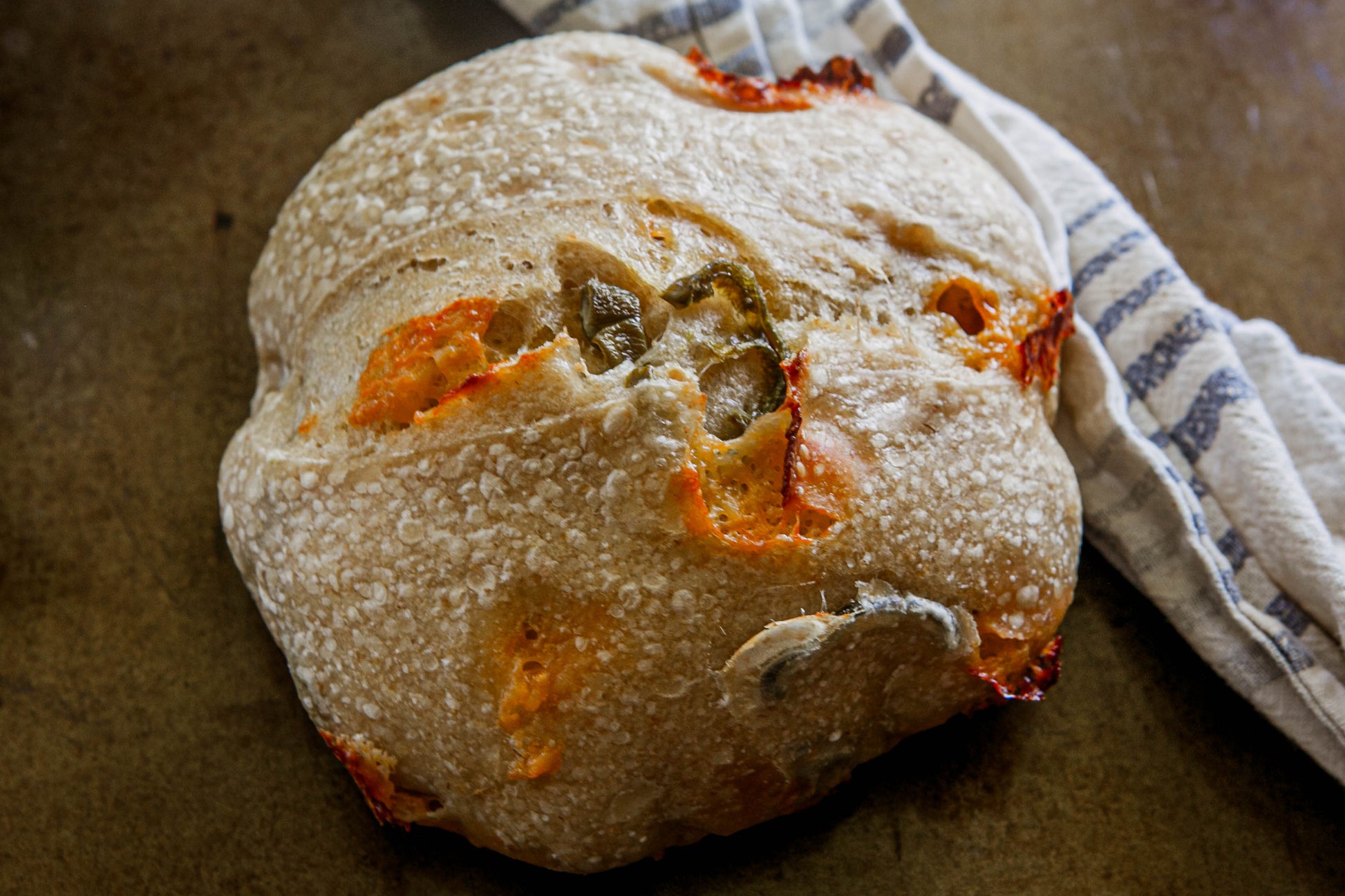 Rustic loaf of sourdough bread with cheddar and jalapenos on a dark surface with a blue and white cloth. Baked in the kitchen at Nystrom Orchard in Worthington Minnesota. 