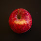 A single Keepsake apple on a black surface. Picked in Nystrom Orchard in Worthington Minnesota.