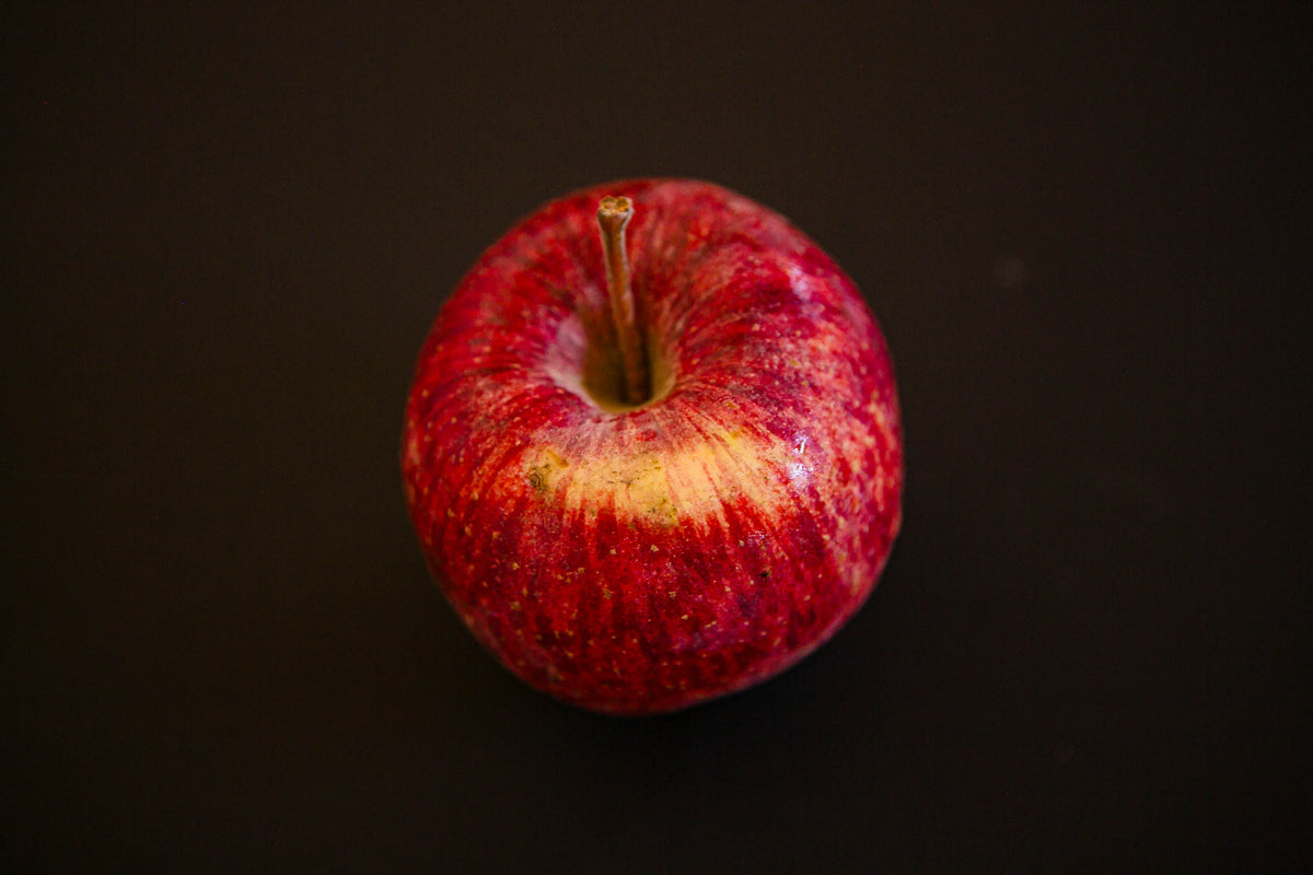 A single Keepsake apple on a black surface. Picked in Nystrom Orchard in Worthington Minnesota.
