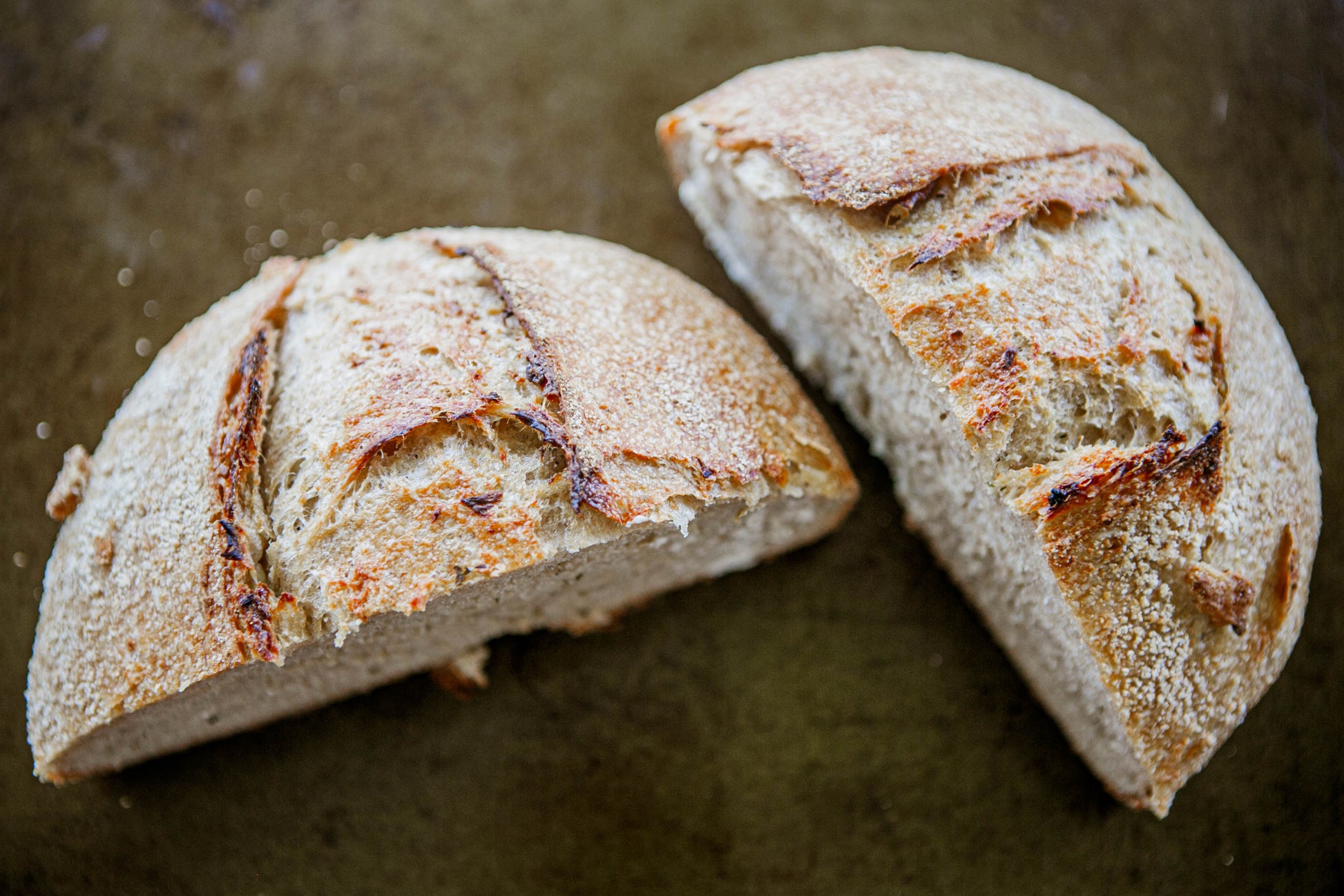 Two halves of roasted garlic cream cheese sourdough bread on a dark surface. Baked in the kitchen at Nystrom Orchard in Worthington Minnesota.