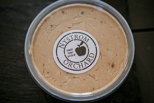 A plastic container of peanut butter cream cheese apple dip with a label that reads 'Nystrom Orchard' and has an image of an apple. Made in the kitchen of Nystrom Orchard in Worthington Minnesota.