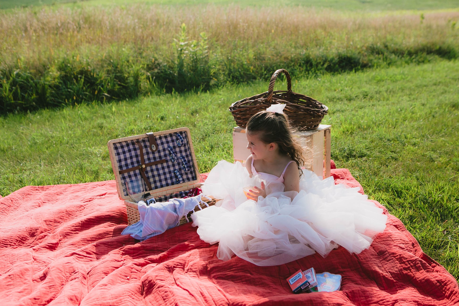 Child in a white dress sitting on a red blanket with a picnic setup in a grassy field. Created in the kitchen of Nystrom Orchard in Worthington Minnesota.
