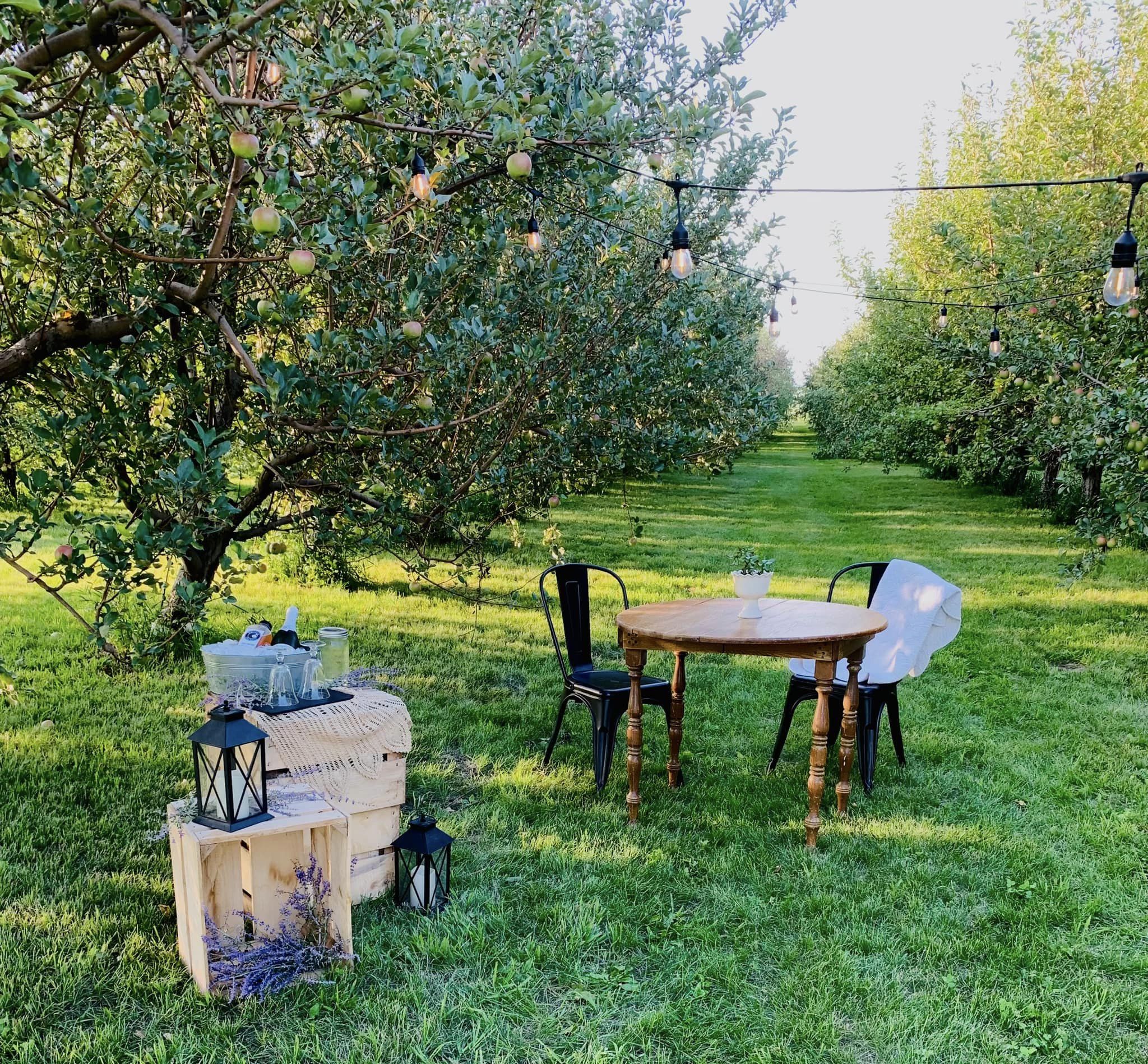 Private Picnic in the Orchard – Nystrom Orchard
