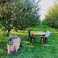 A small wooden table with metal chairs in the middle of the orchard with strung lights and apple crate decorations and games. Created in the orchard of Nystrom Orchard in Worthington Minnesota.