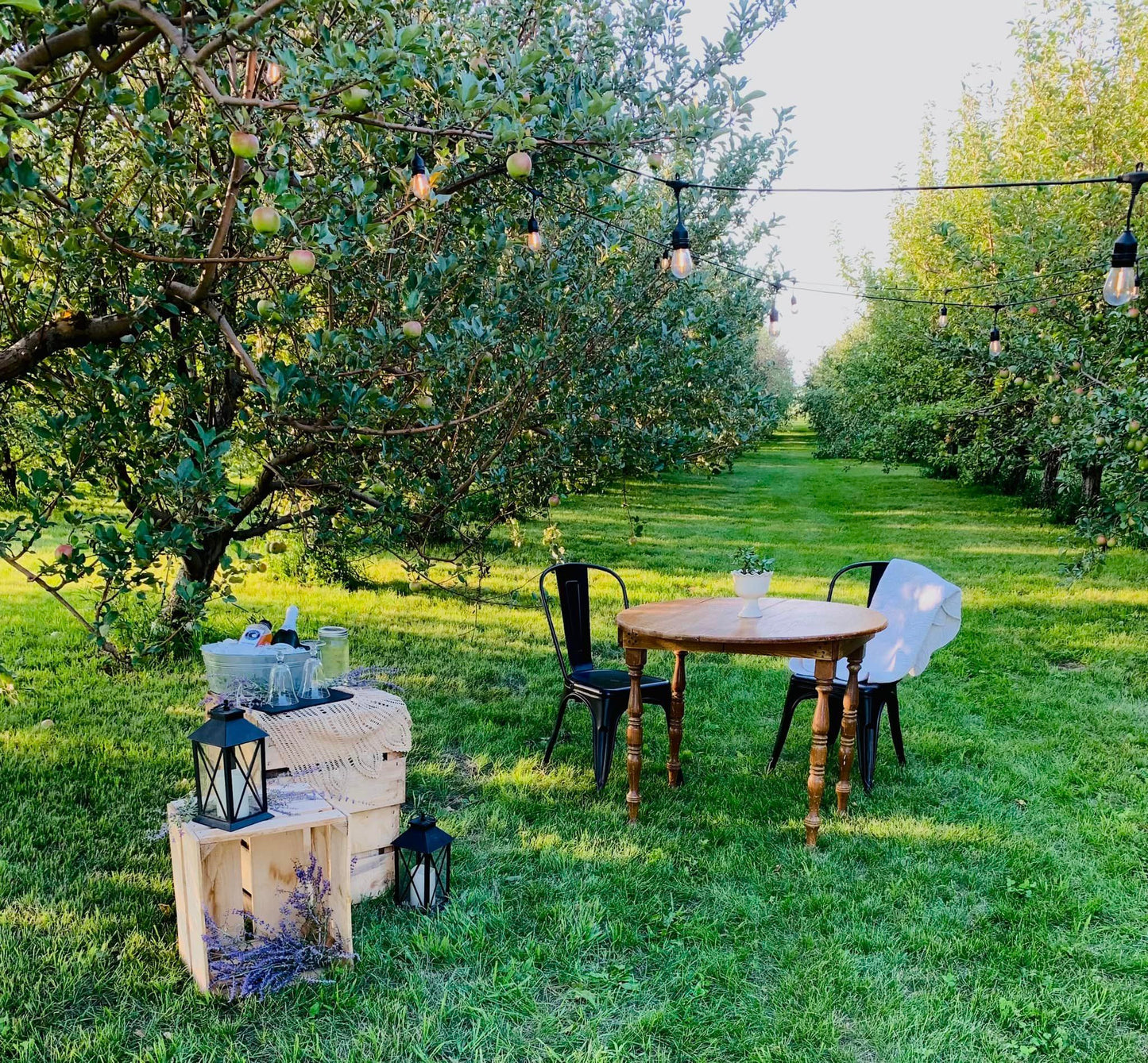 A small wooden table with metal chairs in the middle of the orchard with strung lights and apple crate decorations and games. Created in the orchard of Nystrom Orchard in Worthington Minnesota.