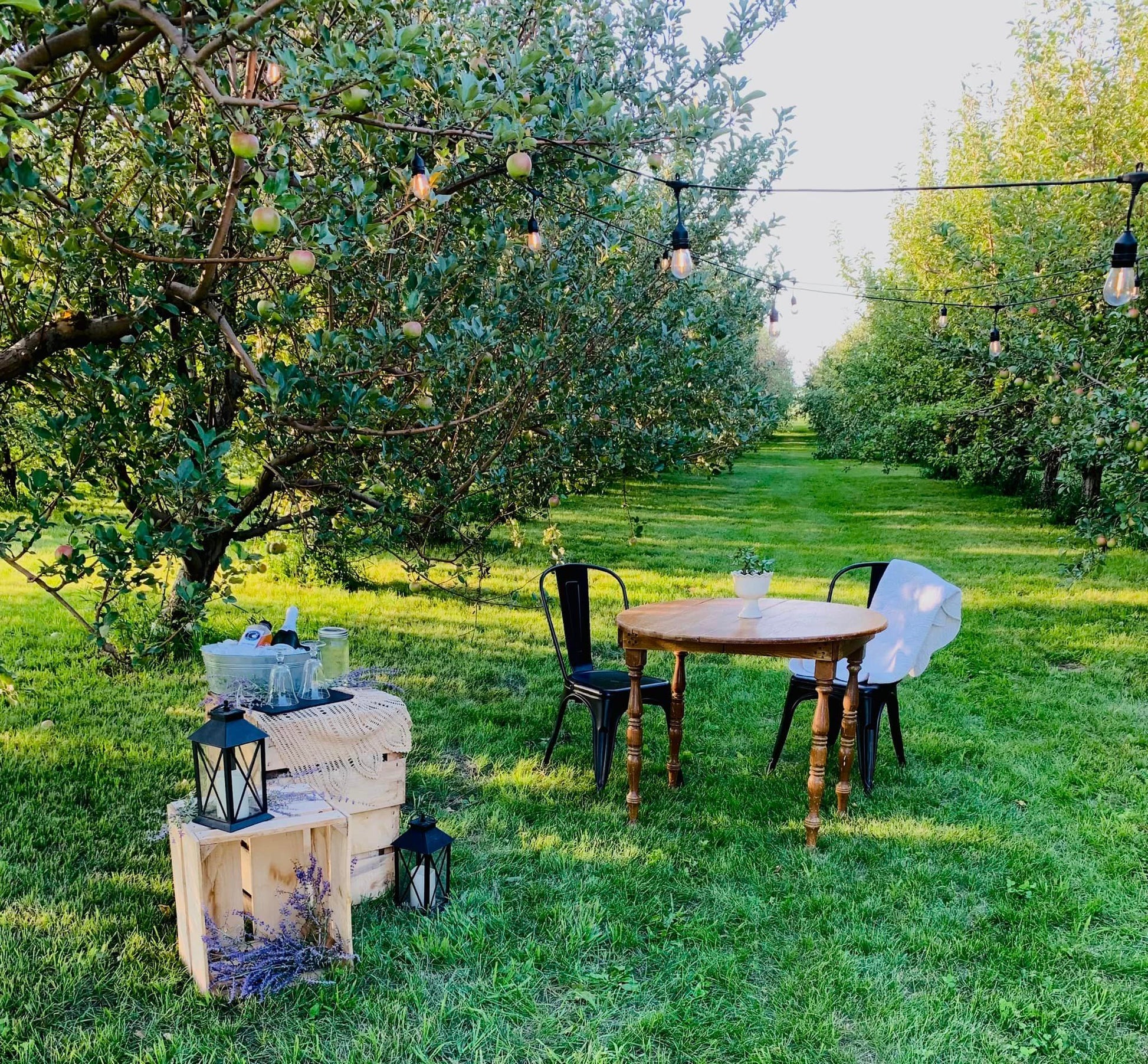 A small wooden table with metal chairs in the middle of the orchard with strung lights and apple crate decorations and games. Created in the orchard of Nystrom Orchard in Worthington Minnesota.