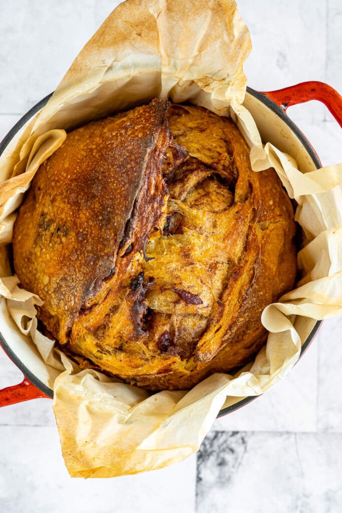 Rustic baked loaf of pumpkin chocolate chip sourdough bread on parchment paper baked in a red dutch oven on a white marble. Baked in the kitchen at Nystrom Orchard in Worthington Minnesota. surface.