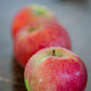 Row of Fireside apples on a wooden table. Picked in Nystrom Orchard in Worthington Minnesota.
