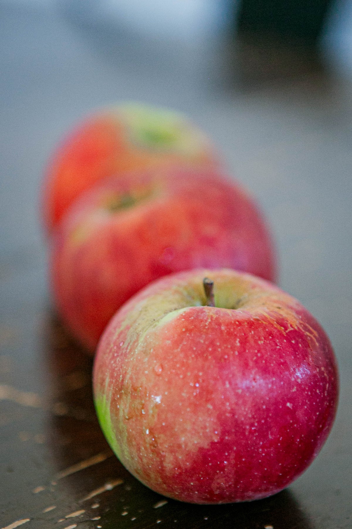 Row of Fireside apples on a wooden table. Picked in Nystrom Orchard in Worthington Minnesota.