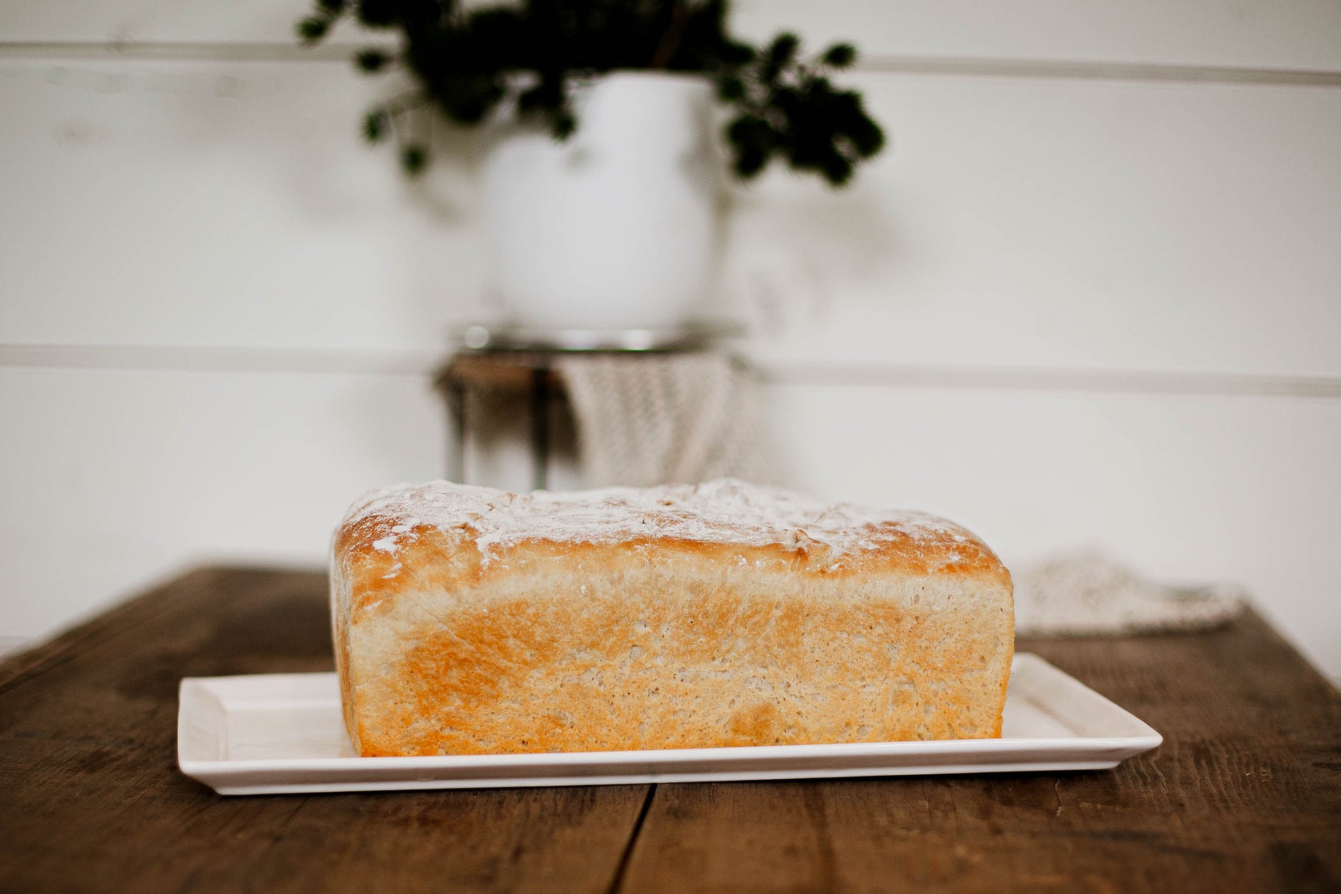 Loaf of sourdough sandwich bread on a white plate with a blurred background. Baked in the kitchen at Nystrom Orchard in Worthington Minnesota.