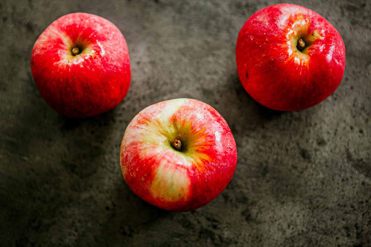 Three SweeTango Apples on a dark surface. Picked in Nystrom Orchard in Worthington Minnesota.