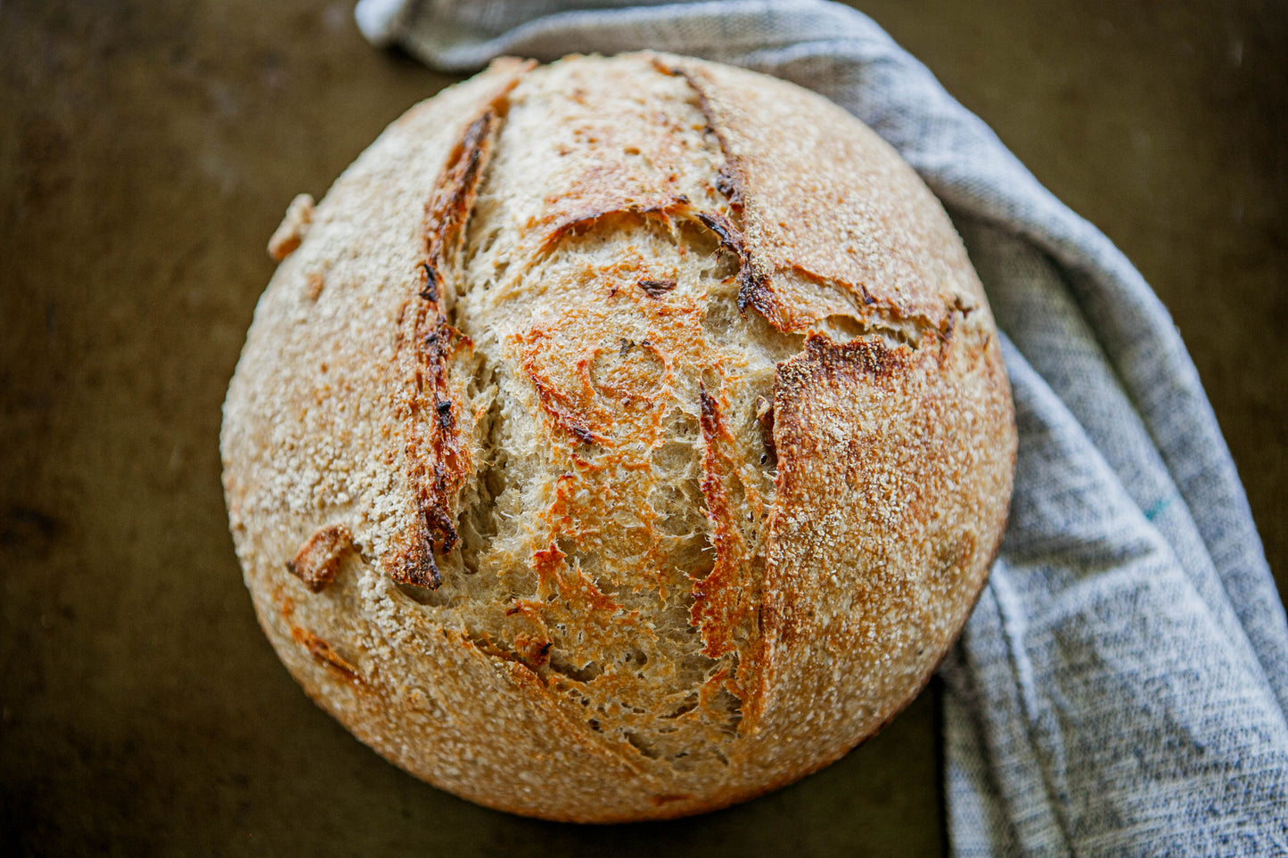 Rustic Loaf of tomato basil sourdough bread on a dark surface with a blue cloth. Baked in the kitchen at Nystrom Orchard in Worthington Minnesota.