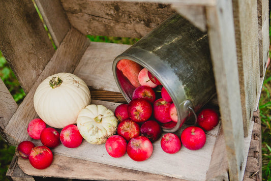 A selection of red crab apples displayed alongside a metal bucket, with a white pumpkin and apples in the background, all placed on a wooden crate. Sold by Nystrom Orchard in Worthington Minnesota.