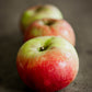 A row of 3 Wealthy apples on a concrete surface. Picked in Nystrom Orchard in Worthington Minnesota.