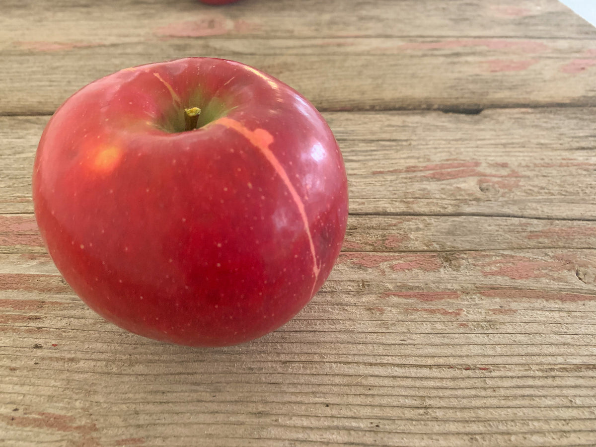 A single red Conell Red apple on a wooden surface. Picked in Nystrom Orchard in Worthington Minnesota.