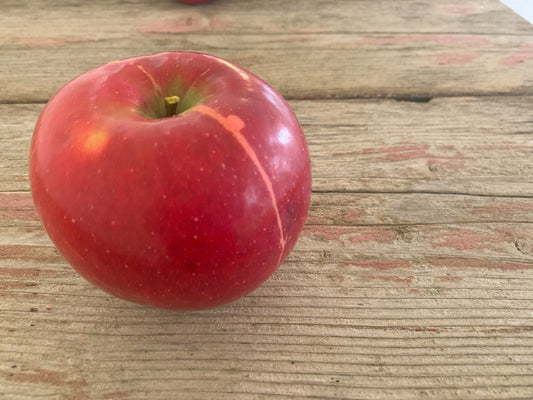 A single red Conell Red apple on a wooden surface. Picked in Nystrom Orchard in Worthington Minnesota.