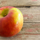 A single Cortland apple on a wooden surface. Picked at Nystrom Orchard in Worthington Minnesota.
