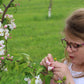 Girl standing in the orchard examining the buds on an apple tree with green grass behind. Trees in Nystrom Orchard in Worthington Minnesota.