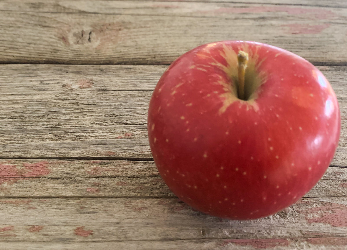 A single red apple with a slight sheen, placed on a wooden surface with visible grain and some paint residue. Picked in Nystrom Orchard in Worthington Minnesota.